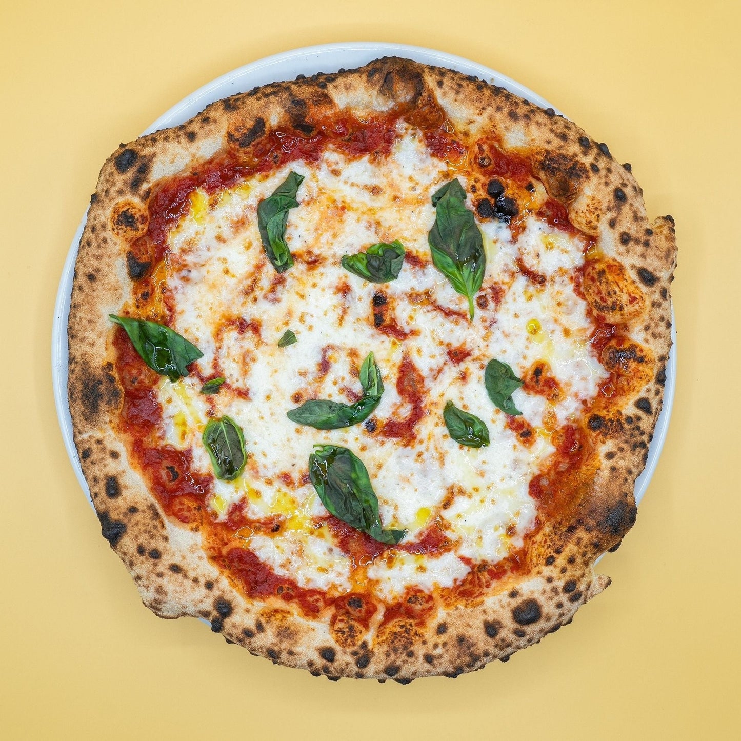 PIZZA MARGHERITA